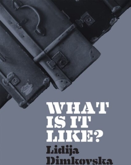 What Is It Like? Av Lidija Dimkovska What Is It Like? Av Lidija Dimkovska
