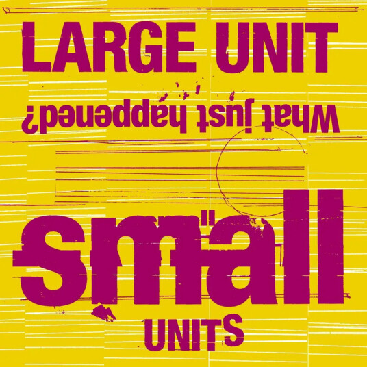 Large Unit Small Units: What just happened? CD