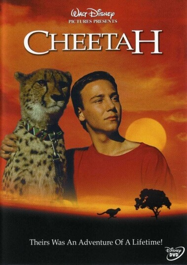 Cheetah DVD Cheetah DVD
