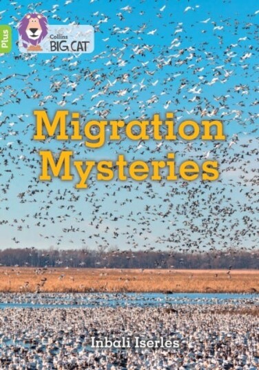 Migration Mysteries Av Inbali Iserles