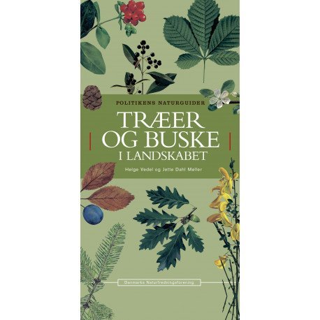 Træer Og Buske I Landskabet | Helge Vedel Jette Dahl Møller | Språk: Dansk