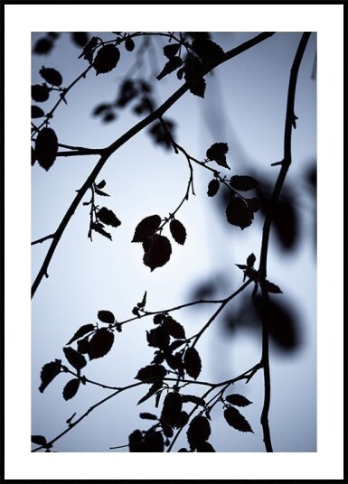 Break of Dawn Plakat / 21x30cm