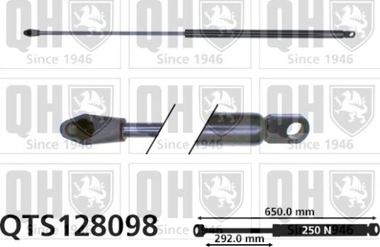 QUINTON HAZELL QTS128098 Baklukedemper