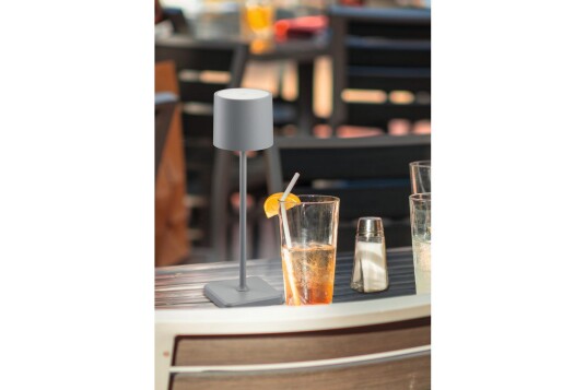 Trio Lighting Bordlampe Fernandez Grå Trio Lighting Bordlampe Fernandez Grå