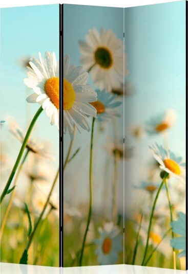 Romdeler - Daisies - spring meadow 135x172 - Artgeist sp. z o. o.