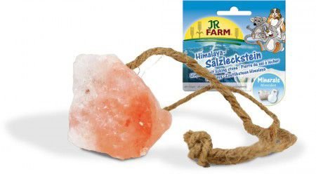 Jr Farm Mineralstein Himalayasalt - 80g