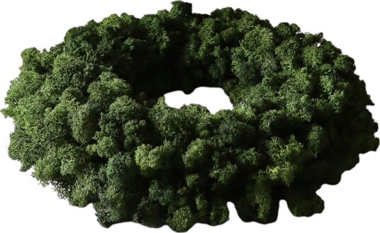 Moss Krans, Grønn