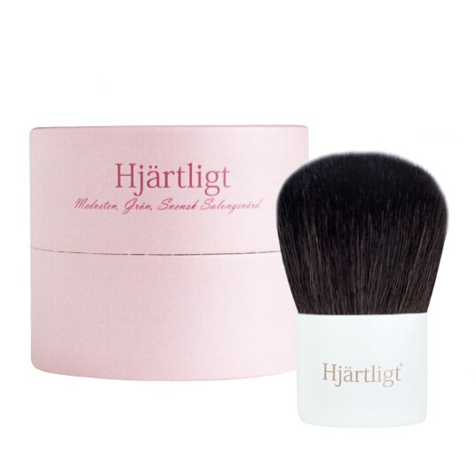 Hjärtligt Torrschampo Ljusbrun Kit