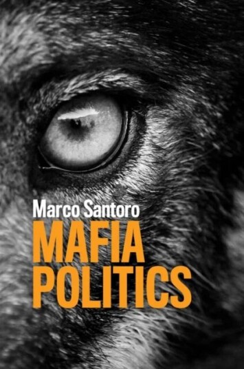Mafia Politics Av Marco Santoro