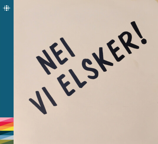 Erling Bonde Nei vi elsker! CD