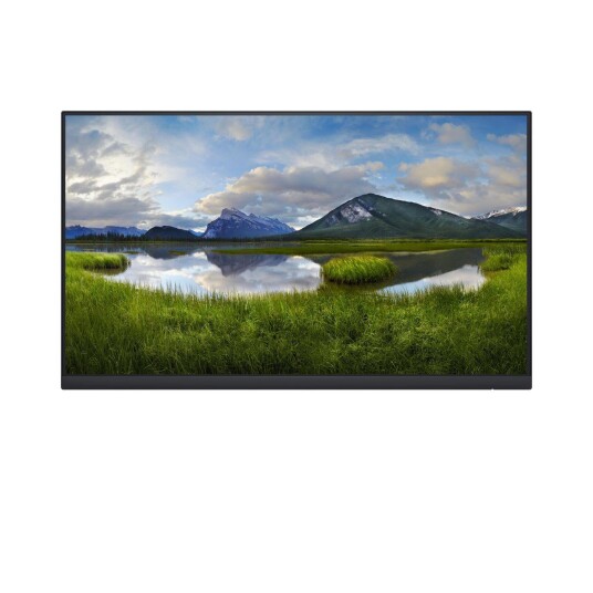 DELL 24 USB C HUB Monitor