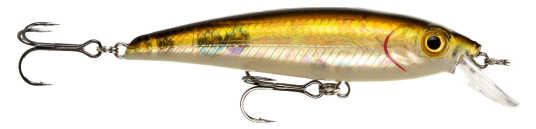 Prey Seatrout Target Black Herring Prey Seatrout Target Black Herring