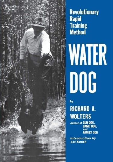 Water Dog Water Dog