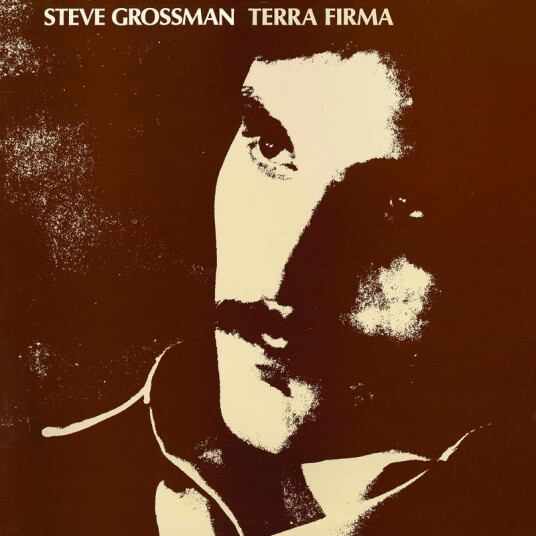 Steve Grossman Terra Firma CD