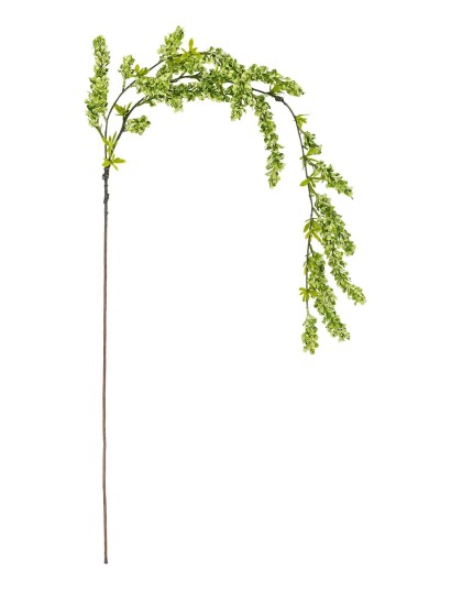 Bloomingville Reed Stem Green H132CM