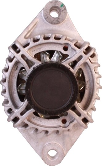 Dynamo WALKER WAL00828