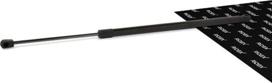 RIDEX 219G0155 Baklukedemper