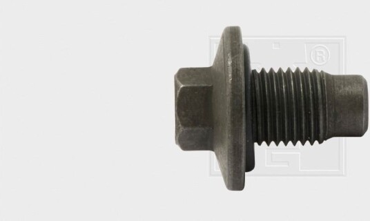 Påfyllingsplugg, bunnpanne SWGAutomotive 2431401580