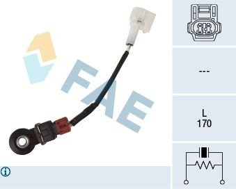 Bankesensor FAE 60252