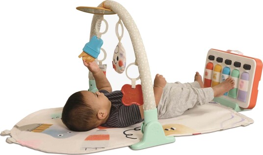 Skip Hop Painted Dreams 4-I-1 Babygym