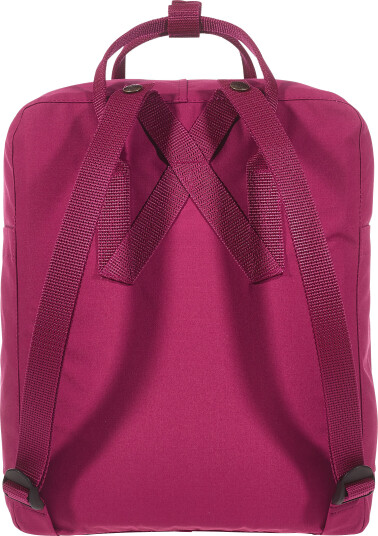 Fjellreven KÅNKEN PLUM