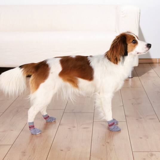 Trixie Antiskli Hundesokker 2-pakk S-M Grå for Mini Hunde