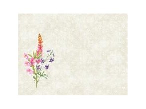 Dunicel Dækkeserviet 30X40 Cm Floret,5 Pk X 100 Stk/Krt