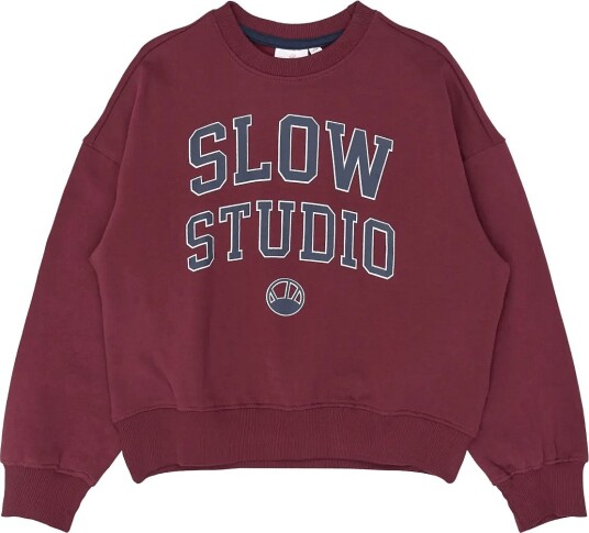 The New Tnvalerie Os Sweatshirt Burgundy 98/104