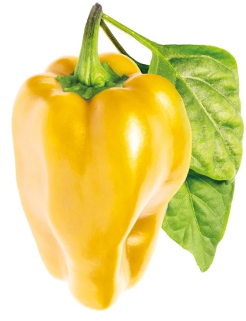 Click and Grow Refill Yellow Sweet Pepper, 3-pakning Click and Grow Refill Yellow Sweet Pepper, 3-pakning