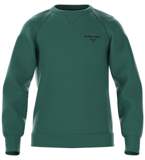 Björn Borg Borg Essential 1 Sweatshirt Black 110 116 Björn Borg Borg Essential 1 Sweatshirt Black 110 116