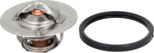 THERMOTEC D2P001TT Termostat, kjølemiddel