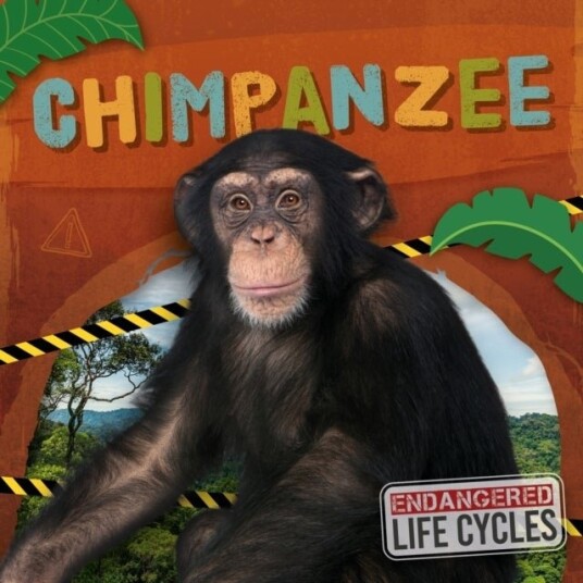 Chimpanzee Chimpanzee