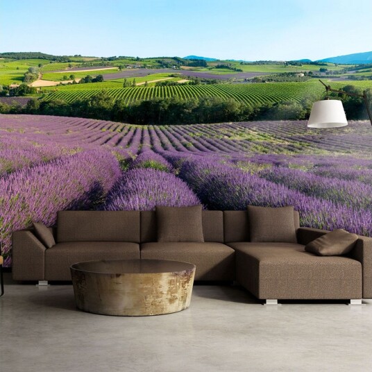 Fototapet Lavender field 250x193 - Artgeist sp. z o. o.
