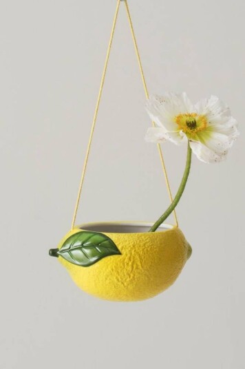 Sour ampel Gul