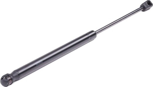 RIDEX 219G0158 Baklukedemper