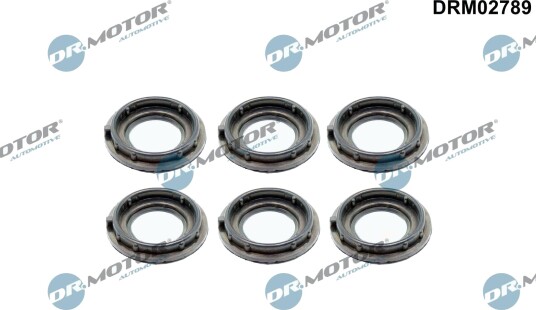 Tetning topplokkdeksel DR.MOTOR AUTOMOTIVE DRM02789