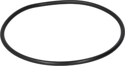Tetningsring Euroricambi 95531553