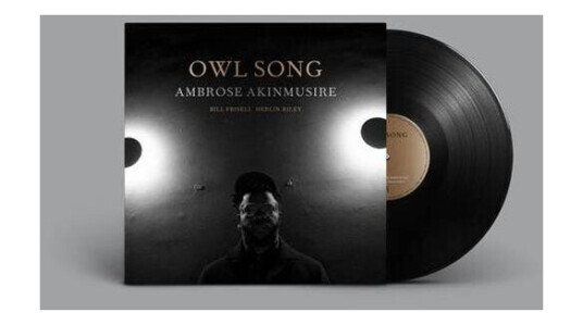 Ambrose Akinmusire - Owl Song (Vinyl)