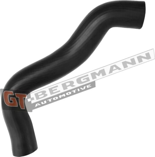 GT BERGMANN GT52 541 Ladeluftslange