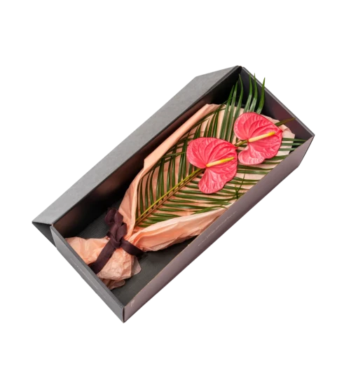 Gaveeske med Anthurium