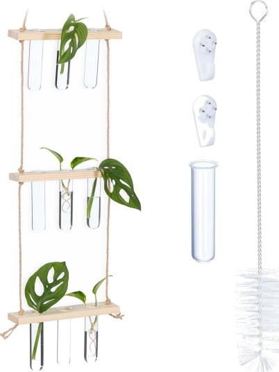 Forplantningsstasjon for hengende planter Forplantningsstasjon for hengende planter