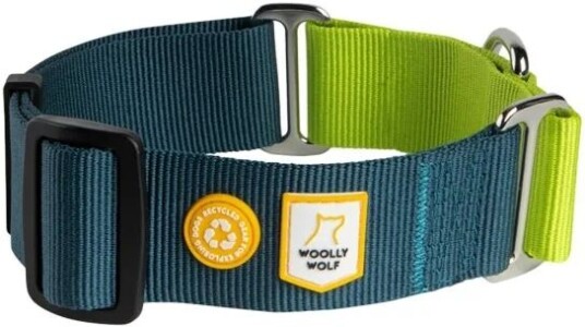Woolly Wolf Color Block Hundehalsbånd Halvstryp Blå/Grønn S