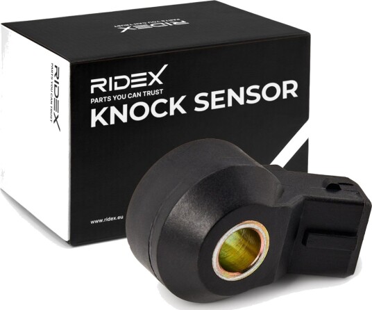 Bankesensor RIDEX 3921K0006