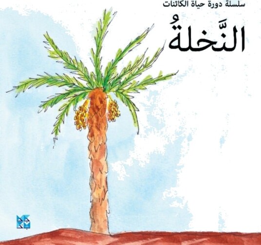 Palm