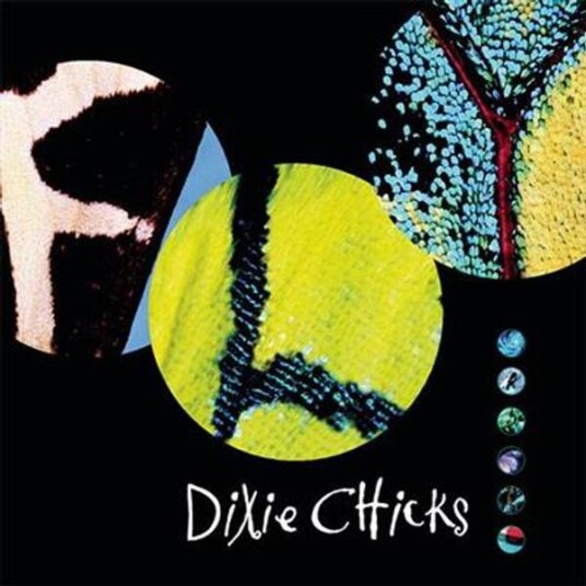 Dixie Chicks - Fly (CD)