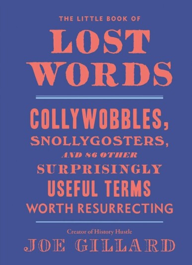 The Little Book Of Lost Words Av Joe Gillard
