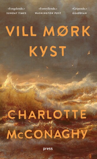 Vill mørk kyst
