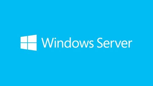 Microsoft Windows Server 2019 - lisens - 5 enhets-CAL