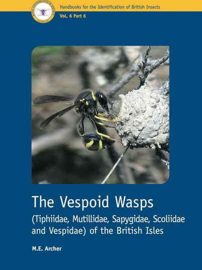 The Vespoid Wasps Tiphiidae Mutillidae Sapygidae Scoliidae and Vespidae of the British Isles