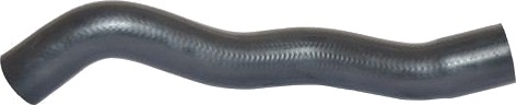 BUGIAD 88776 Ladeluftslange BUGIAD 88776 Ladeluftslange